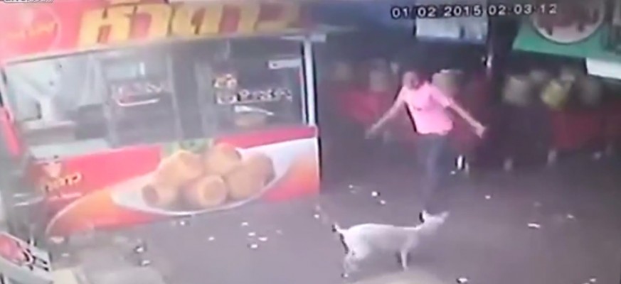 Pijani nasilnik pokušao da udari psa: Pogledajte šta mu se desilo