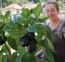 Srebrenica: Šefija Salimović uzgaja crne paprike 