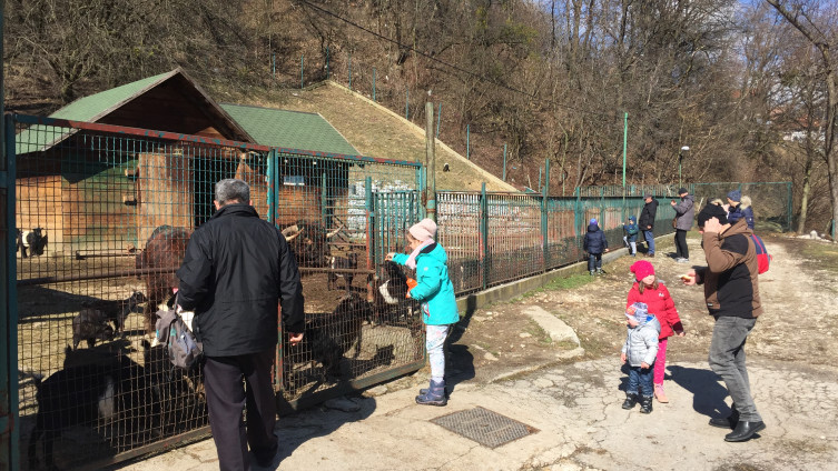 Avaz.ba u posjeti Pionirskoj dolini: Mališani uživali u obilasku životinja 