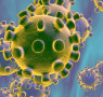 Stručnjaci potvrdili: Koronavirus mutira, sada ima osam sojeva