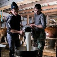 Hvale vrijedan, ali još nedovoljan: Zabilježen rast proizvodnje mlijeka u BiH