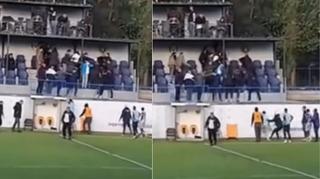 Video / Haos u Crnoj Gori: Tučnjava u centralnoj loži stadiona